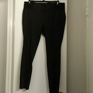 Daisy Fuentes Leggins XL