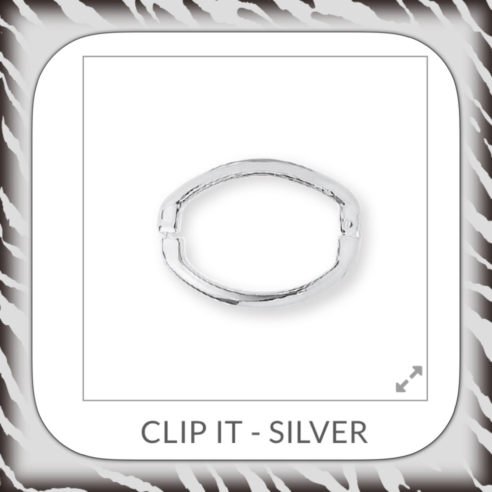 Brand new premier design clip it