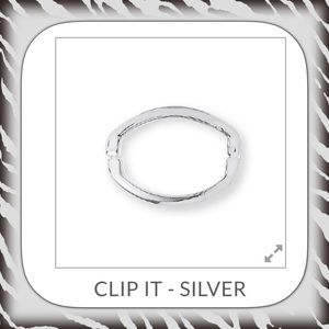 Brand new premier design clip it