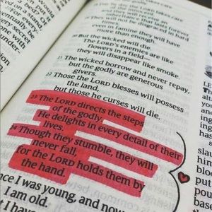 Meet your Posher, Molly