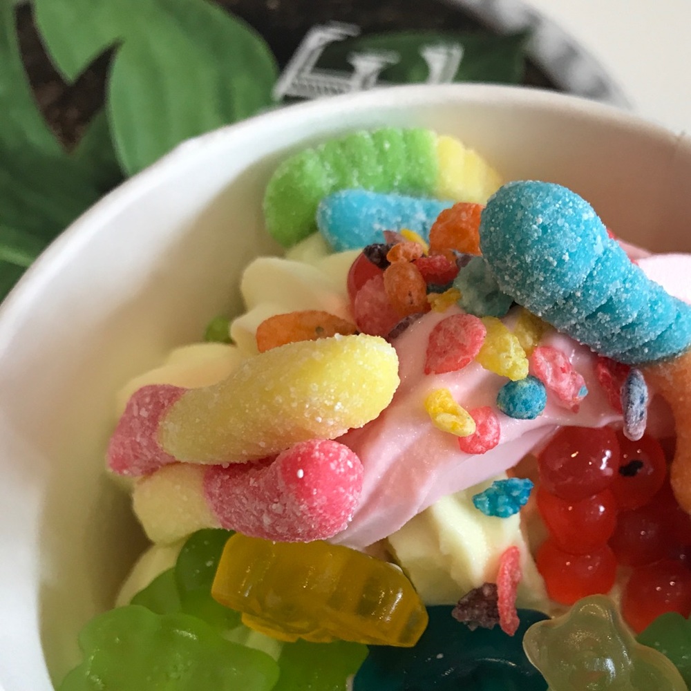 Meet your Posher, Maylis