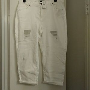 Lane Bryant Capri 20W White