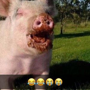 Meet your Posher, Andy