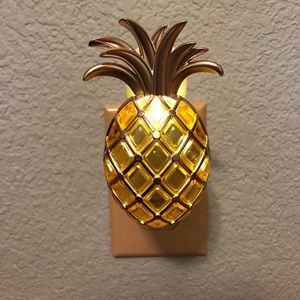 Night light wall plug