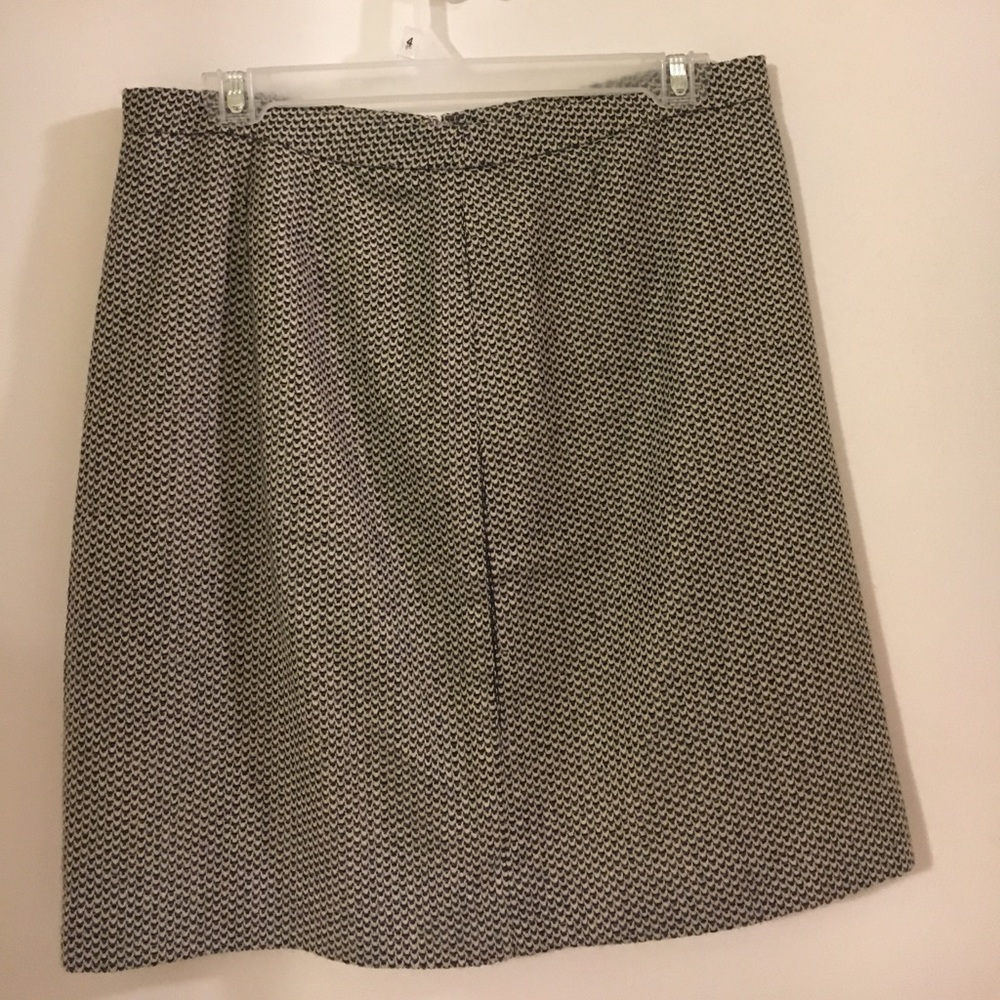 LOFT skirt (winter)