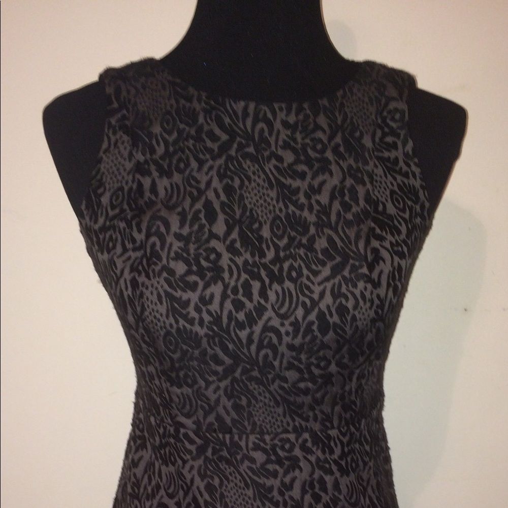 Loft Petite Dress Size 0