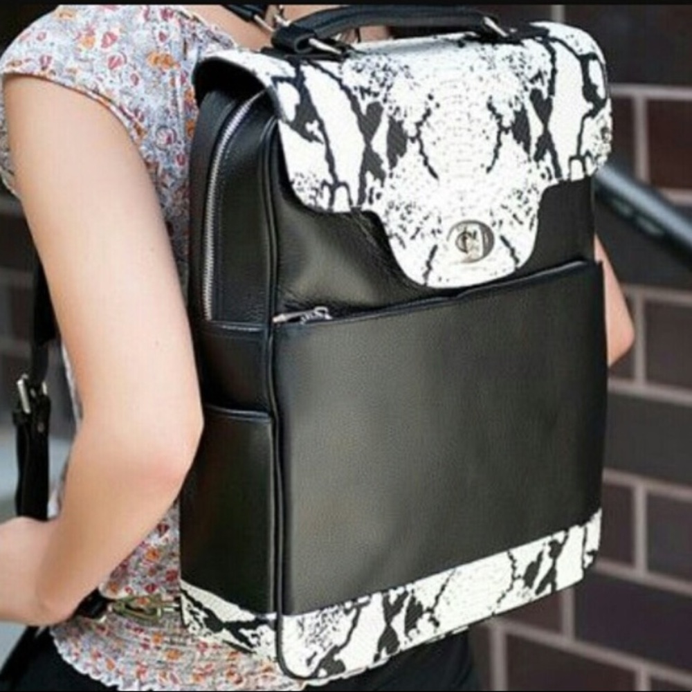 Back pack/laptop bag
