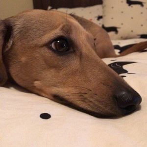 Meet your Posher, Aidan