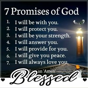 Meet your Posher, Zelphia