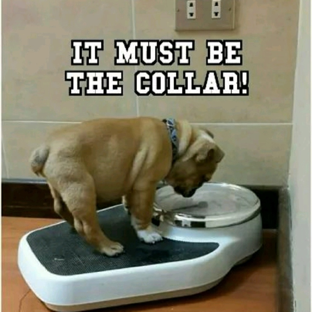 Meet your Posher, Kelli