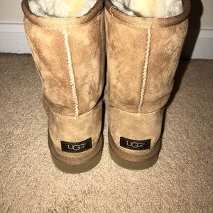 Classic Short Uggs in Chesnut Brown