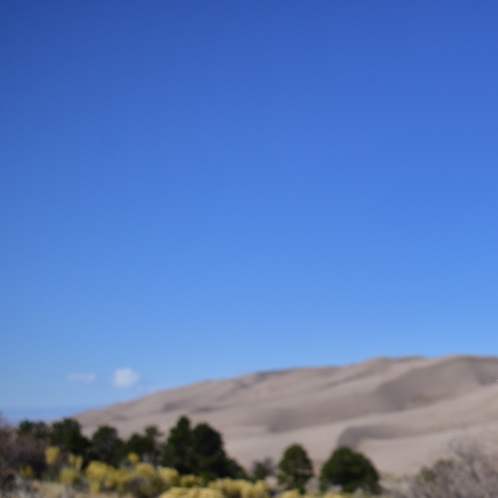 Meet your Posher, Rose