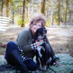 Meet your Posher, Ginger