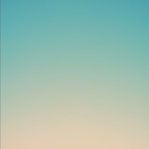 Meet your Posher, Wilson