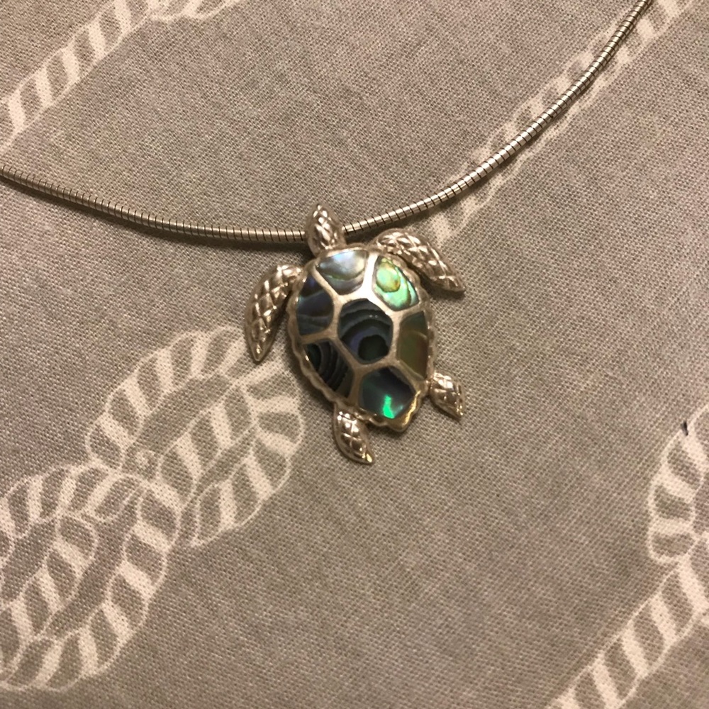Abalone shell necklace 🐢