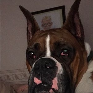 Meet your Posher, Liz