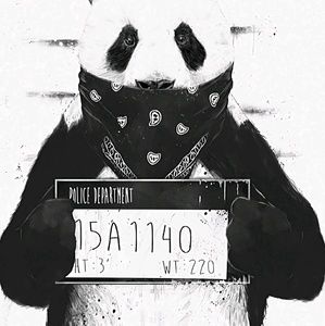 Meet your Posher, Kody