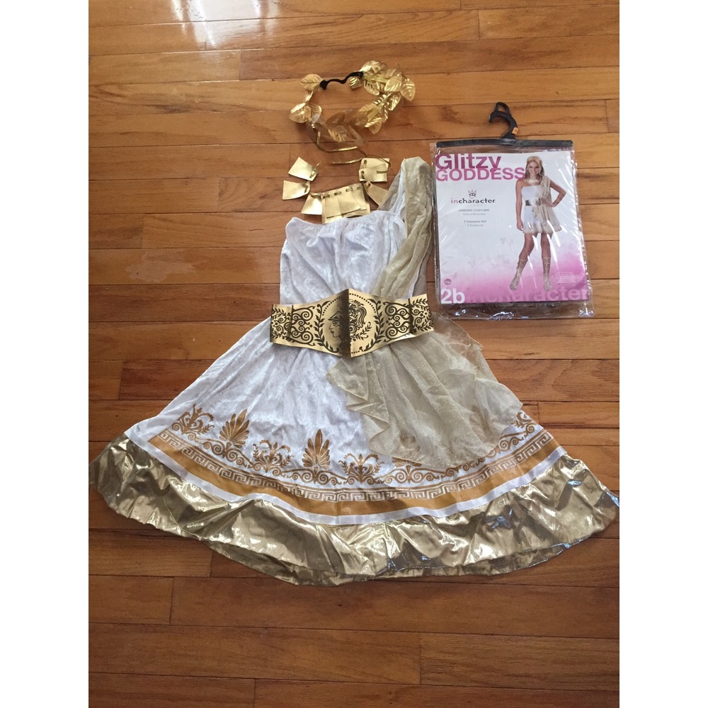 Greek Goddess Costume