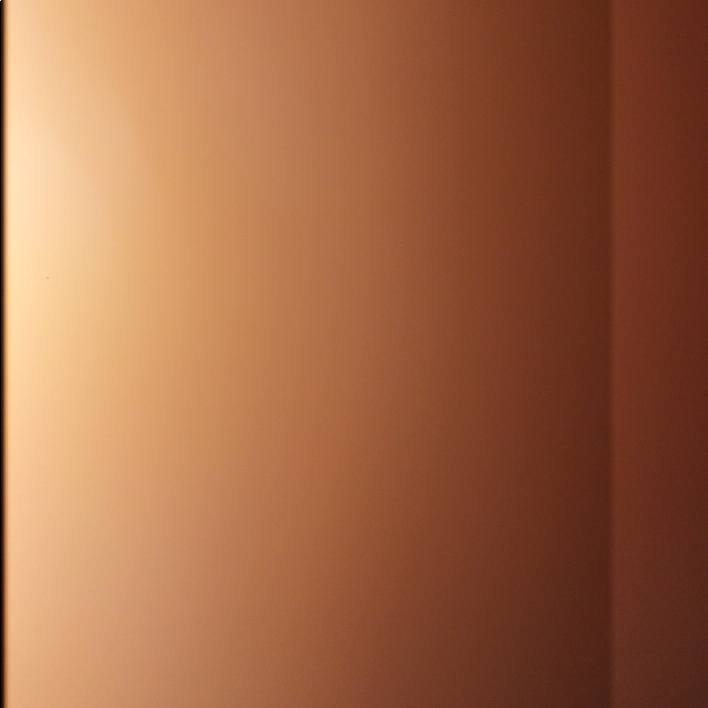 Meet your Posher, Lillie