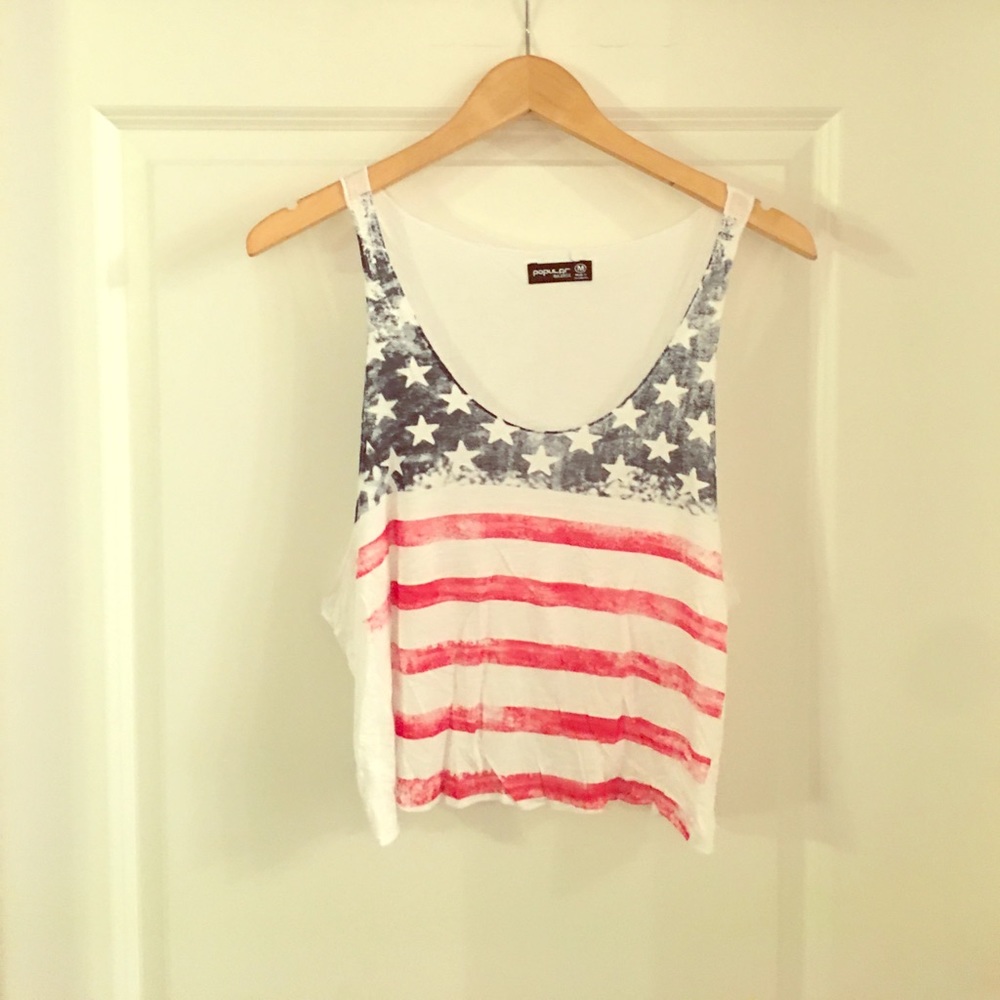 Semi sheer flag crop top