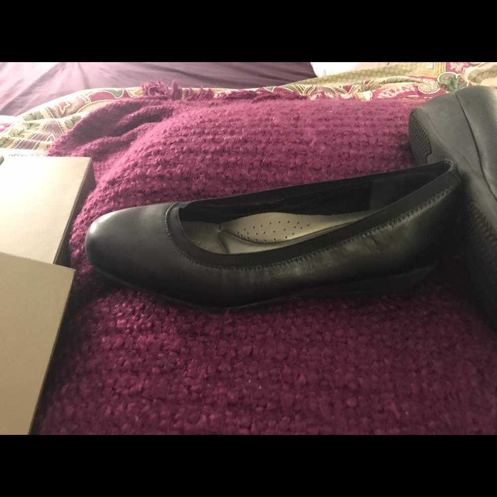 Trotters slip on wedge