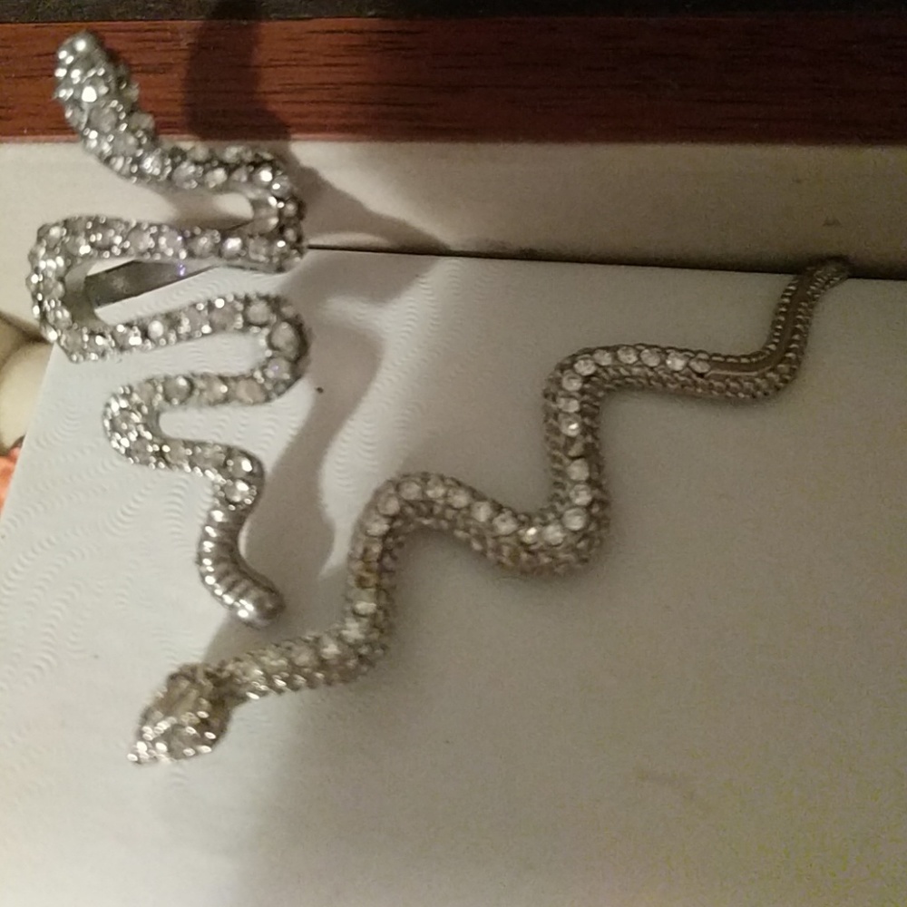 Snake ring and necklace pendant