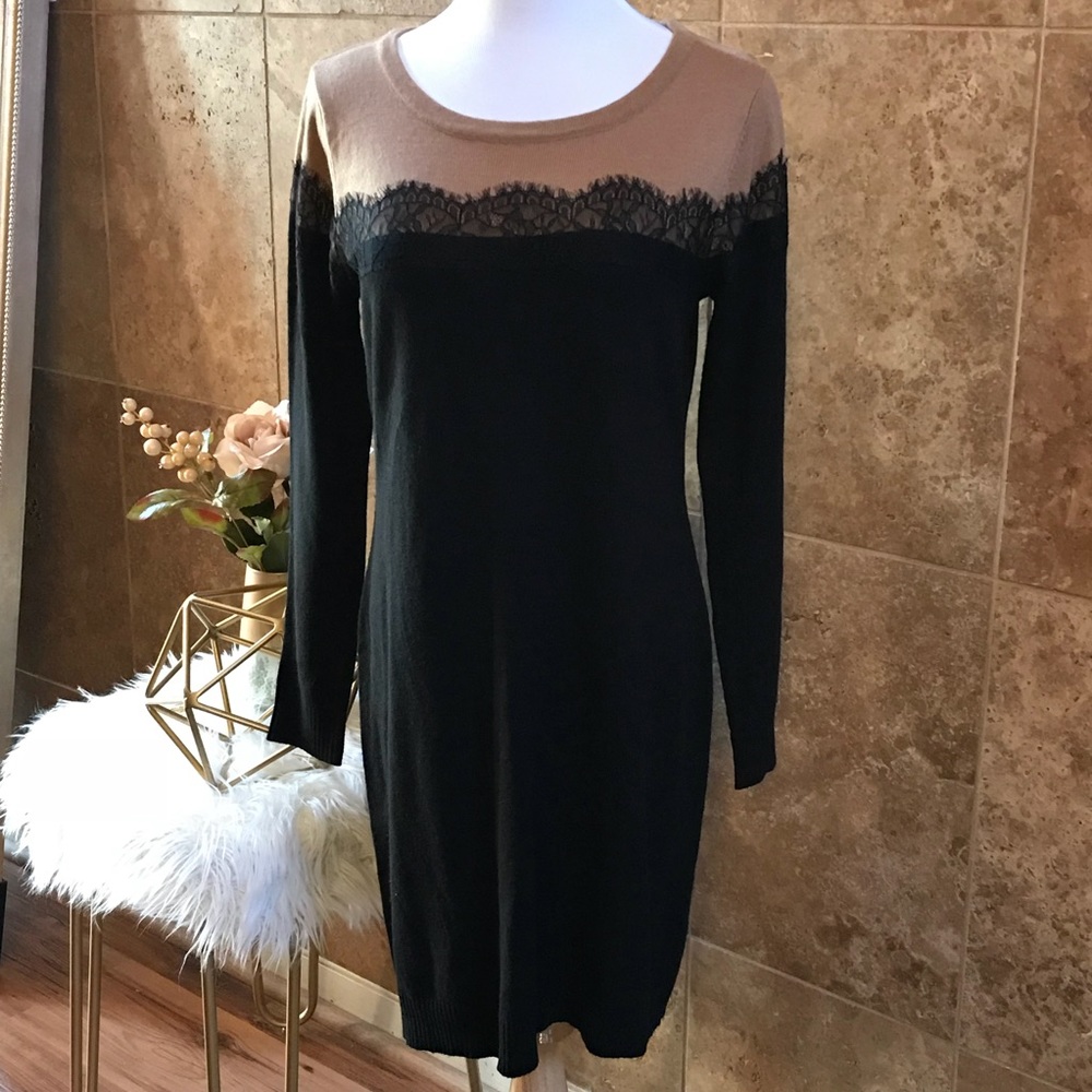 NWOT AB Studio Sweater Dress w/Lace Bust Detail