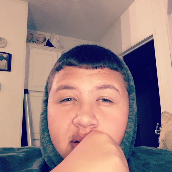 Meet your Posher, Gavin - Picture 1 of 1