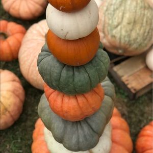 Meet your Posher, Ellen