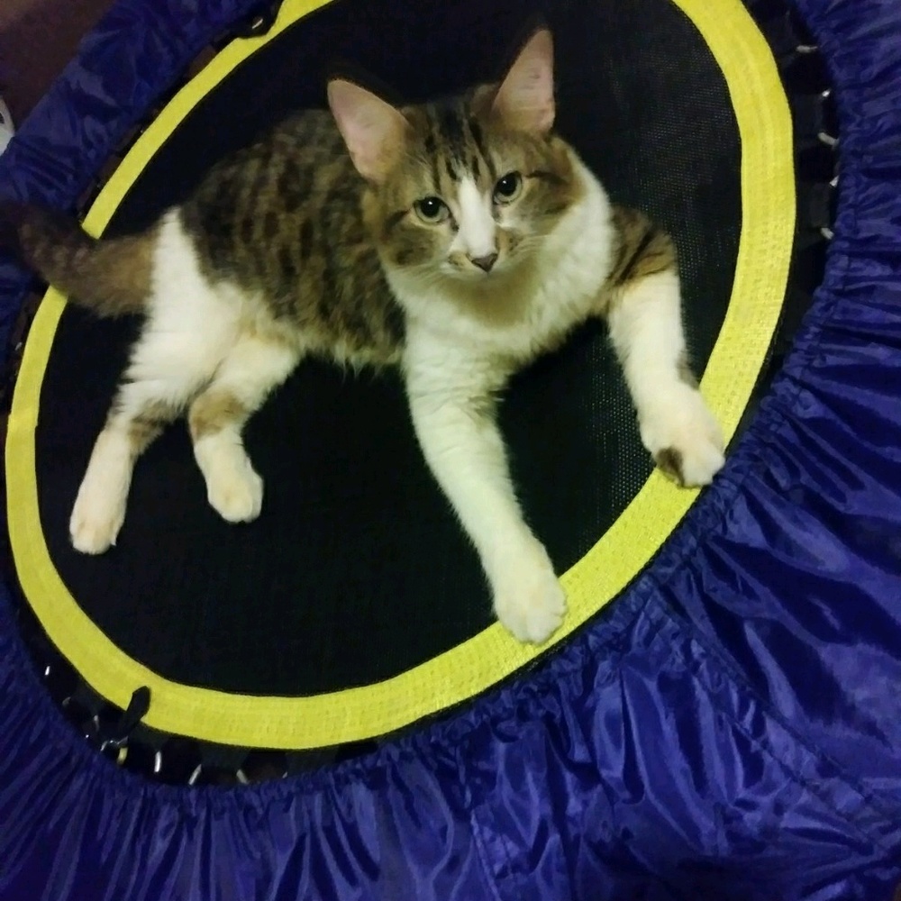 Meet your Posher, Daniel