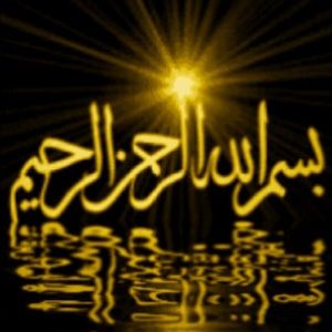 Meet your Posher, Dawud