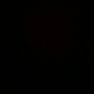 Meet your Posher, Guillermo