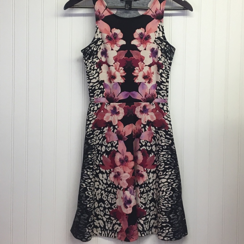 H&M Skater Dress