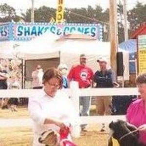 Meet your Posher, Cheryl