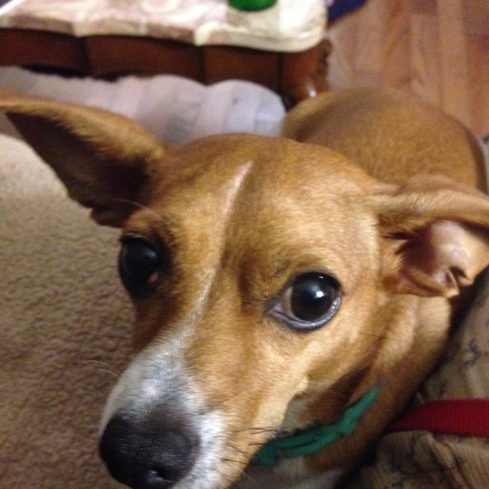 Meet your Posher, Sandra