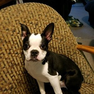 Meet your Posher, Becky