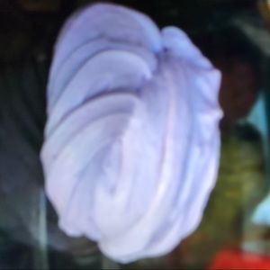 Meet your Posher, Luisa