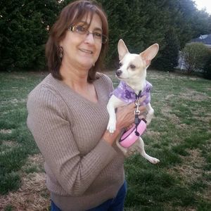 Meet your Posher, Francia elena