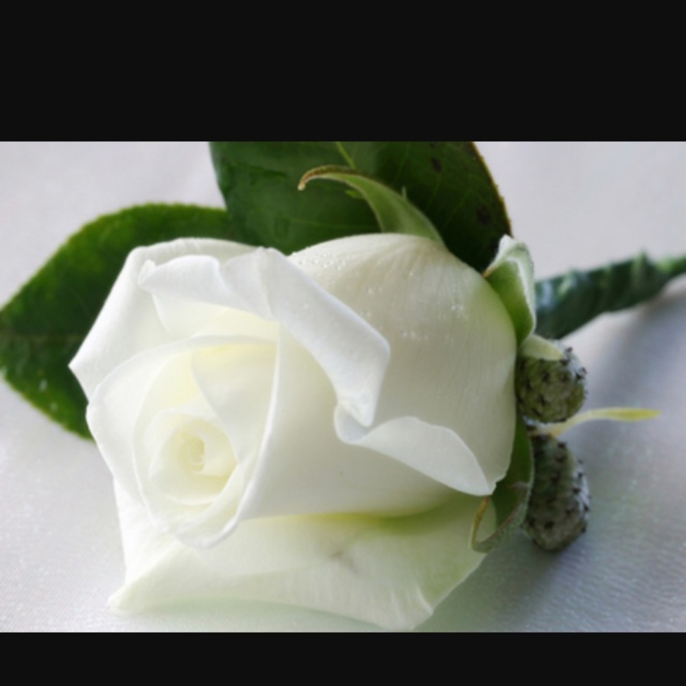 Meet your Posher, Ale