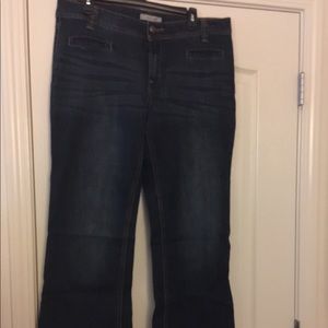 LIKE NEW ADAM LEVINE FLARE LEG BLUE JEANS
