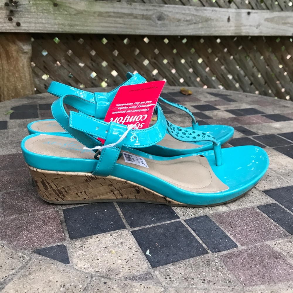 Dex Flex Thong Wedge Sandals