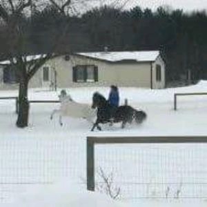 Meet your Posher, Sara