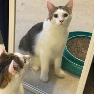 Meet your Posher, Brooke