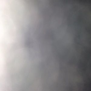 Meet your Posher, Jacquie