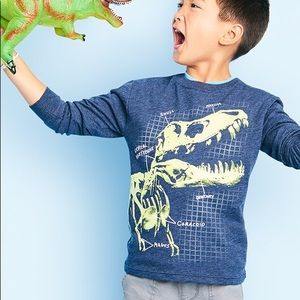 Cat & Jack Long Sleeve Dinosaur Glow in the Dark