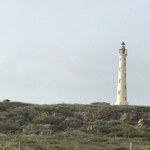 Meet your Posher, Willie