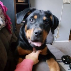 Meet your Posher, Jaime