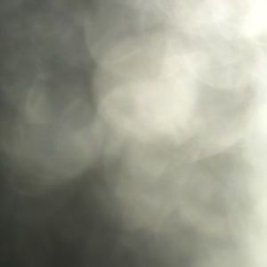 Meet your Posher, Sonya