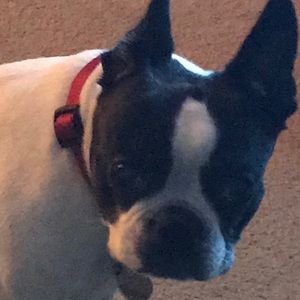 Meet your Posher, Jason