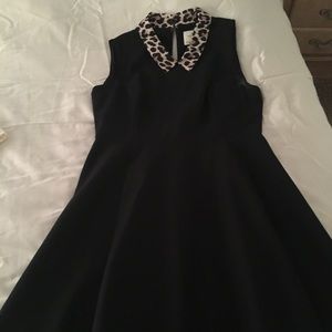 Kate Spade fall collection dress